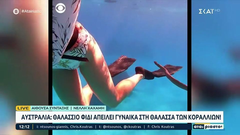 Αυστραλία: Θαλάσσιο φίδι απειλεί γυναίκα στη Θάλασσα των Κοραλλίων
