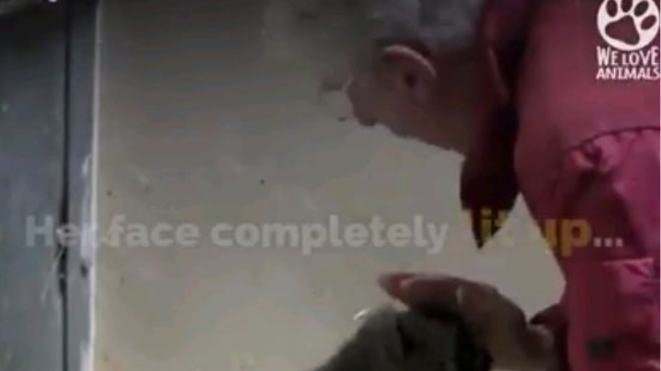 Ήξερε ότι ο θάνατος κοντοζυγώνει όταν όμως την επισκέφθηκε ένας παλιός φίλος, σόκαρε τους πάντες