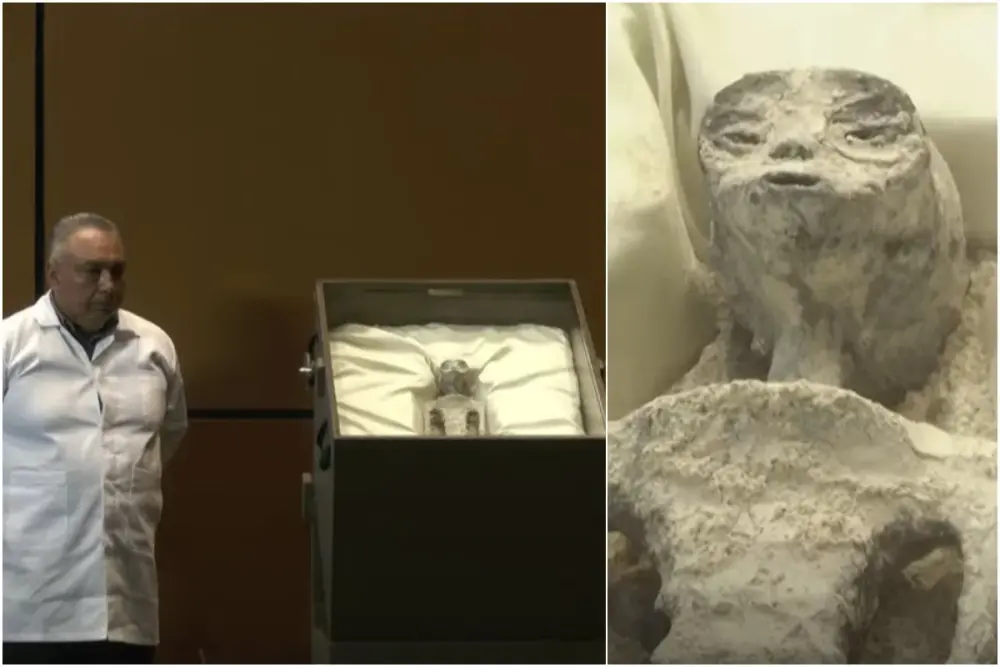 Mexico: They are authentic and one piece, experts say about 1,000 year old alien skeletons