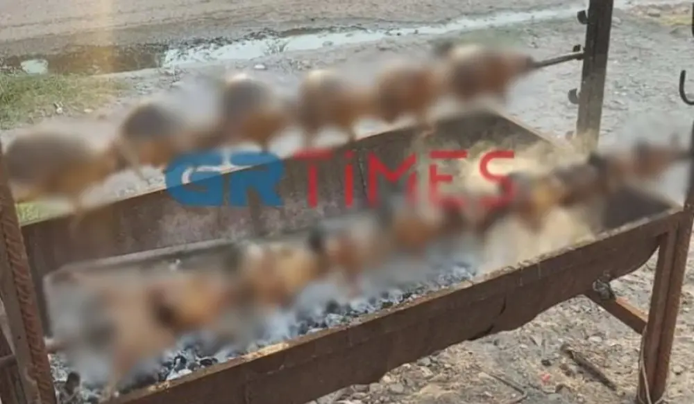 Θεσσαλονίκη: 35χρονος σκότωσε και σούβλισε σκαντζόχοιρους
