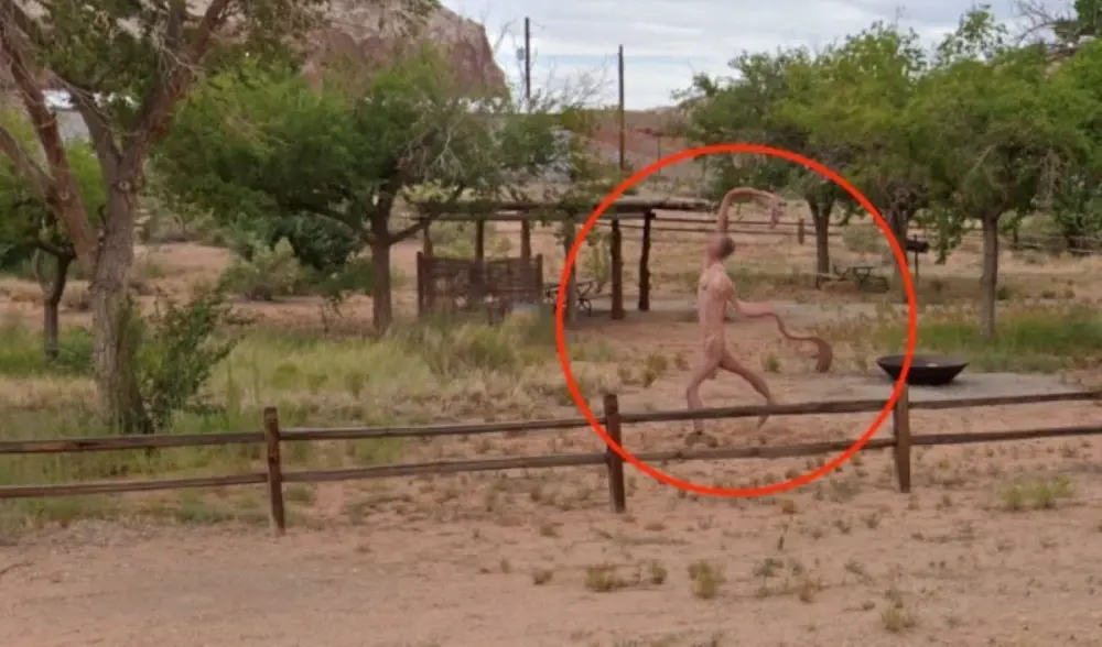 Google Street View: Παράξενο γυμνό πλάσμα προκάλεσε απορία στους χρήστες – Είναι εξωγήινος;