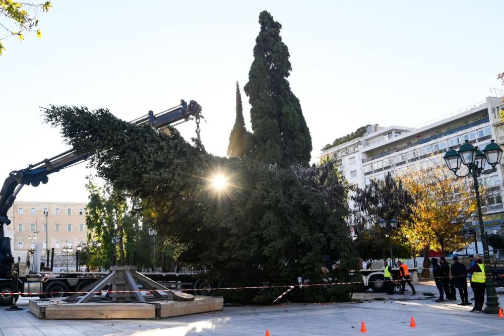 Μύρισαν Χριστούγεννα στην Αθήνα - Στήθηκε το χριστουγεννιάτικο δέντρο στο Σύνταγμα