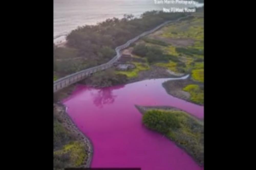 Χαβάη: Λίμνη έγινε ροζ - Τι εξετάζουν οι επιστήμονες