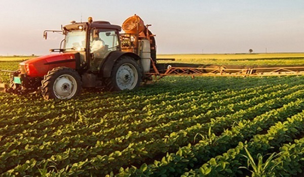 Αποτέλεσμα εικόνας για Ασφαλιστικές εισφορές: Οι νέες κατηγορίες για τους αγρότες - Τι θα ισχύσει για ελεύθερους επαγγελματίες και αυτοαπασχολούμενους