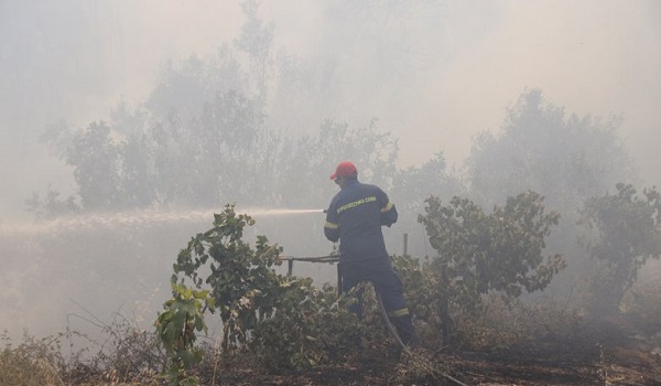 Εύβοια: Νέο πύρινο μέτωπο μεταξύ Πλατάνα και Μακρυμάλλη - Η μάχη δεν έχει τελειώσει ακόμα