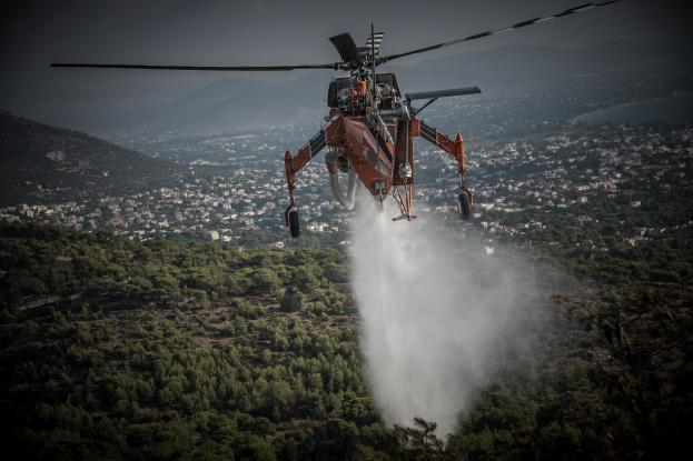 Φθιώτιδα: Φωτιά σε 4 διαφορετικά σημεία