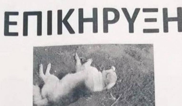 Οργή στην Αμφιλοχία: Επικήρυξε με 2.000 ευρώ το δράστη που σκότωσε τον σκύλο του