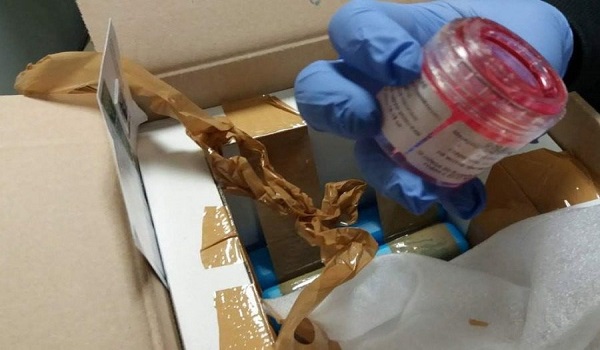 Τρόμος από εμπόριο οργάνων που εξιχνιάστηκε στη Θεσσαλονίκη