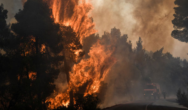 Σοκαριστικό βίντεο: Στάχτη το δάσος Natura στην Εύβοια – Πώς κινείται η πυρκαγιά