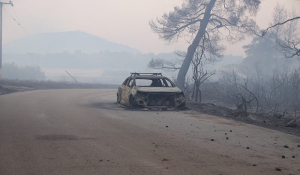 Εύβοια: Μεγάλη η καταστροφή στο παρθένο δάσος, δεν κάηκαν σπίτια