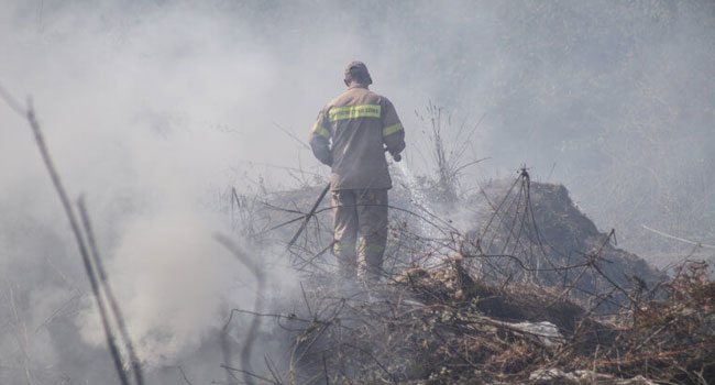 Συνελήφθησαν δύο άτομα για εμπρησμούς σε περιοχές της Μεσσηνίας και της Ηλείας
