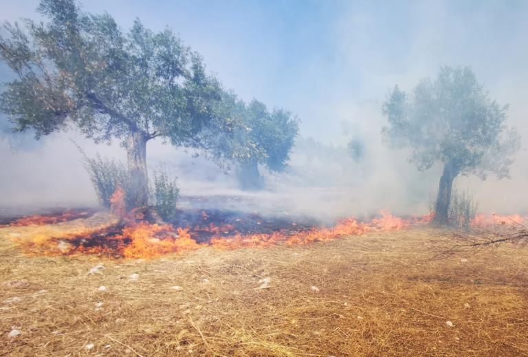 Μεγάλη πυρκαγιά στον Ασπρόπυργο – Άμεση κινητοποίηση της Πυροσβεστικής