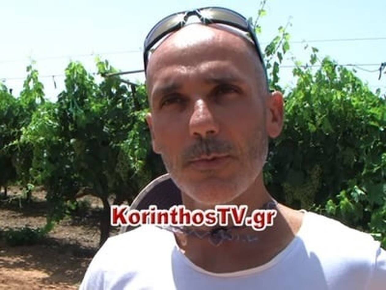 intekos | Lamianow.gr