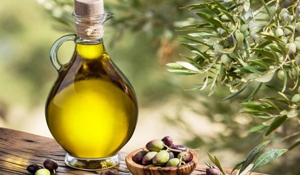 Γιατί είναι νηστίσιμη η ελιά και όχι το λάδι