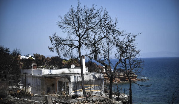 Ανάβουν Χριστουγεννιάτικο δέντρο στο Μάτι - Η ανοιχτή πρόσκληση