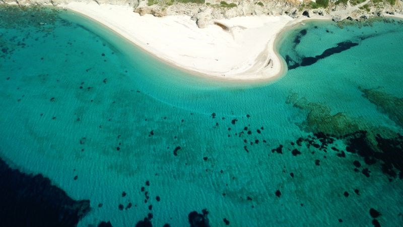 Πάνω από 1.500 ελληνικές ακτές είναι εξαιρετικής ποιότητας. Έχουμε πραγματικά καθαρές θάλασσες