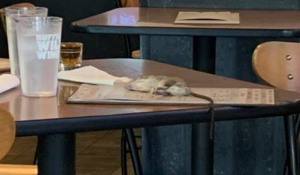 Δεν πίστευε στα μάτια της με αυτό που προσγειώθηκε στο τραπέζι της
