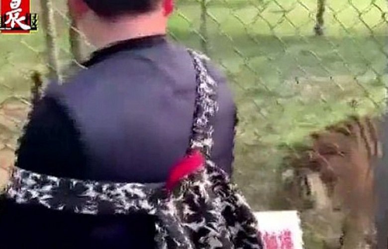 Του έπεσε το κινητό στο κλουβί της τίγρης και προσπάθησε να το πάρει πίσω. Βίντεο