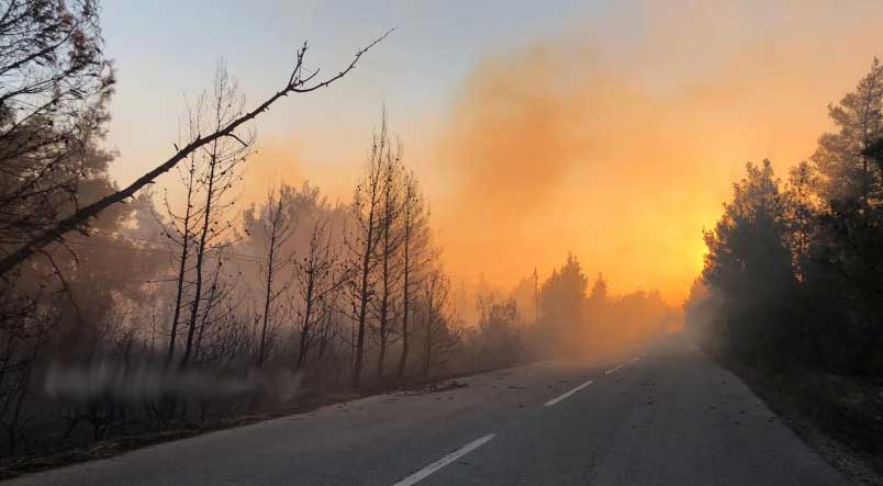 Εκτός ελέγχου η φωτιά στη Χαλκιδική. Χωρίς ρεύμα και τηλέφωνο οικισμοί, κλειστοί δρόμοι. Βίντεο