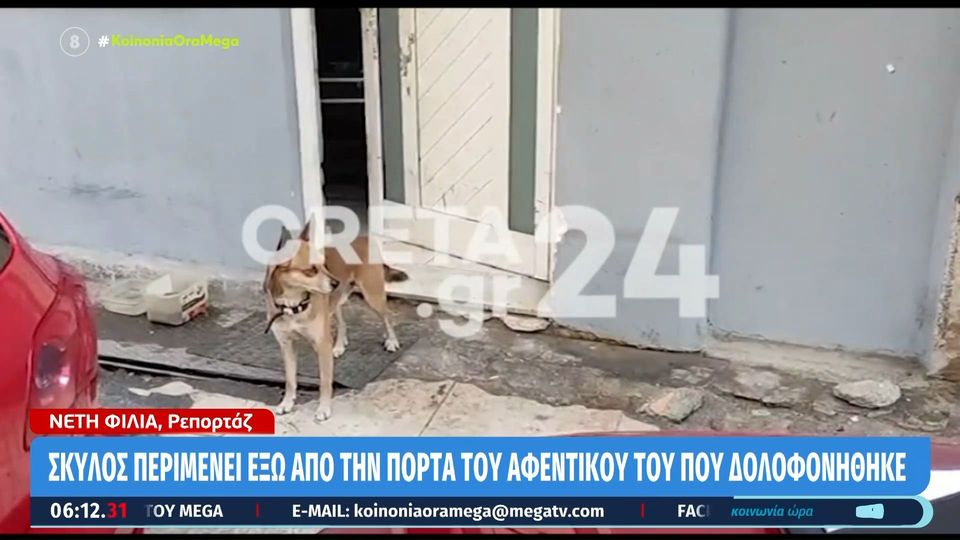 Ο "Χάτσικο" της Ναυπάκτου: Σκύλος ζει δίπλα στο εικόνισμα του νεκρού αφεντικού του