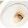 Ένα εξαιρετικό σπιτικό κόλπο για να αφαιρέσετε κίτρινους λεκέδες και άλατα στην τουαλέτα χωρίς χημικά