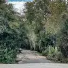 Φοινικούντα: Ραγδαίες εξελίξεις στη διπλή δολοφονία – Παραδόθηκε ο ένας δράστης, συνελήφθη ο εκτελεστής