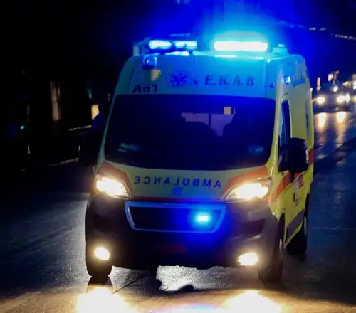 Αταλάντη: Σκύλος επιτέθηκε σε γυναίκα ανήμερα Χριστουγέννων – Ακρωτηριάστηκαν δύο δάχτυλά της