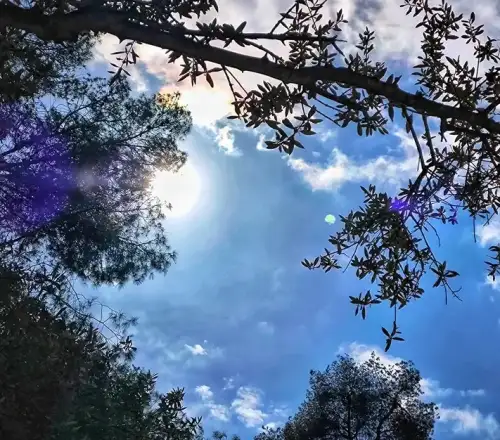 Ανοιξιάτικο ξεκίνημα, χειμωνιάτικη συνέχεια: Πότε έρχονται βροχές, κρύο και τα πρώτα χιόνια