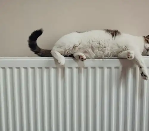 Επίδομα θέρμανσης: Λήγει η προθεσμία – Τι πρέπει να κάνουν σήμερα όσοι δεν έχουν υποβάλει αίτηση