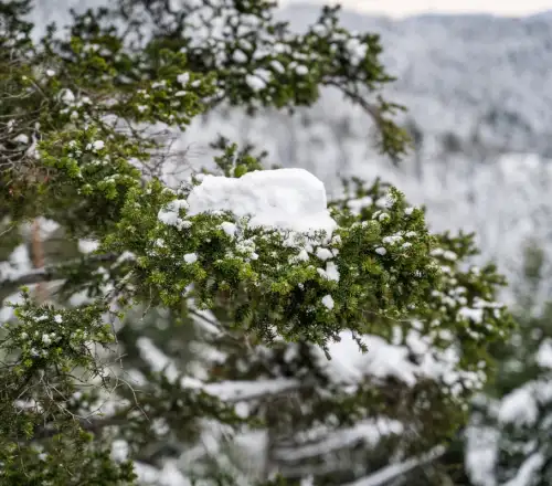 Στην «κατάψυξη» όλη η χώρα σήμερα – Πότε έρχονται τα πυκνά χιόνια και πού θα το στρώσει