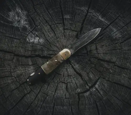 Τραγωδία στην Κρήτη: Αδελφοκτονία για μια ασήμαντη αφορμή στο χωριό Μάρθα