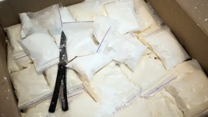 Οι γαρίδες έκρυβαν 210 κιλά κοκαΐνης. Ο ρόλος του Έλληνα «Ρablo» που έκανε εμπόριο οπλών στην Κολομβία