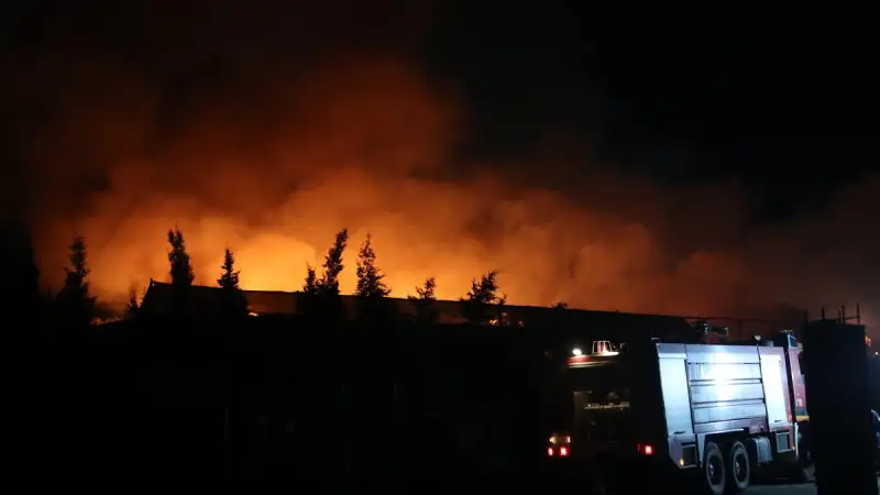 Μάχη με τις φλόγες στη Σίνδο: Θα χρειαστούν πολλές ώρες για να ελεγχθεί η φωτιά