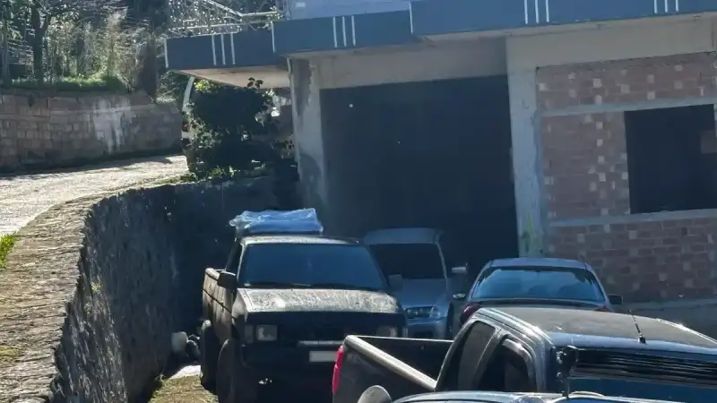 Αχαΐα: Συγκλονίζει ο θείος του 3χρονου – Η ομολογία για το δυστύχημα με τη γουρούνα