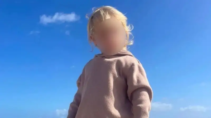 Νέες αποκαλύψεις για τον θάνατο του 2χρονου Λίο στη Ζάκυνθο – Ποιο το μέλλον του πιτ μπουλ