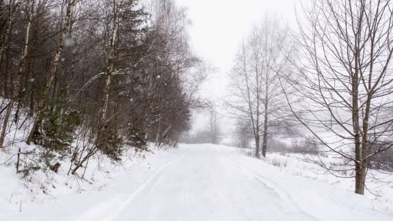 «Λευκή» Πρωτοχρονιά φέρνει το σκανδιναβικό ψύχος – Πού χιόνισε σε Αττική, Εύβοια και Φθιώτιδα