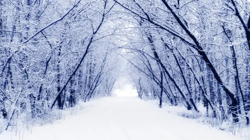 Καιρός: Ψυχρή εισβολή με χιόνια και «πολικές» θερμοκρασίες – Πού θα το στρώσει, τι θα γίνει στην Αττική