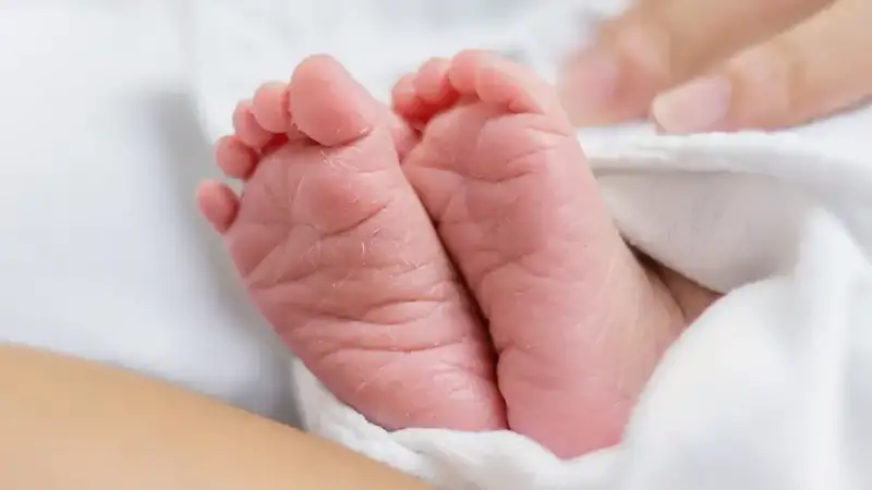 Καλλιθέα: Θρίλερ με τον θάνατο βρέφους 7 ημερών – Γιατί το πήγαν σε κτηνιατρείο