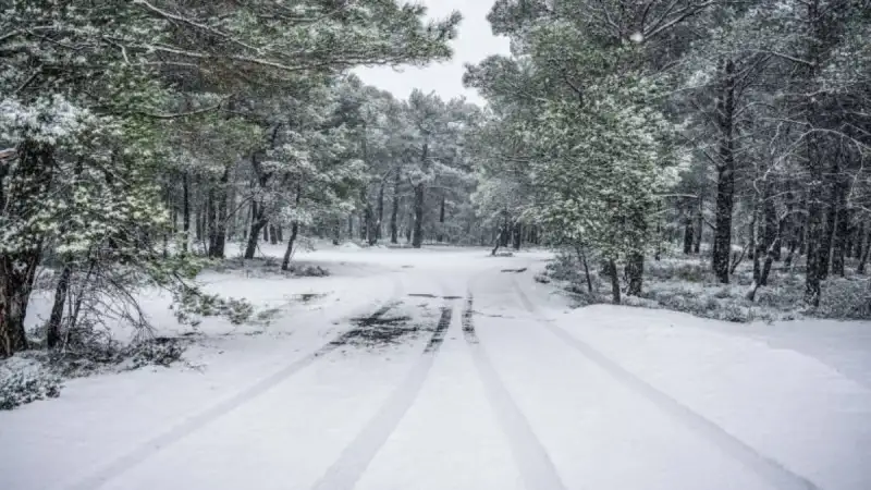 «Πόλεμος» μετεωρολόγων: Από τις «πολικές φωτοβολίδες» στις... «στρακαστρούκες» – Νέα σκληρή ανάρτηση Τσατραφύλλια
