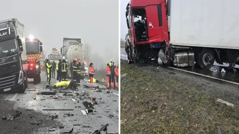 Τραγωδία στη Ρουμανία: 7 οπαδοί του ΠΑΟΚ νεκροί στον «δρόμο του θανάτου» – Το χρονικό της φρίκης