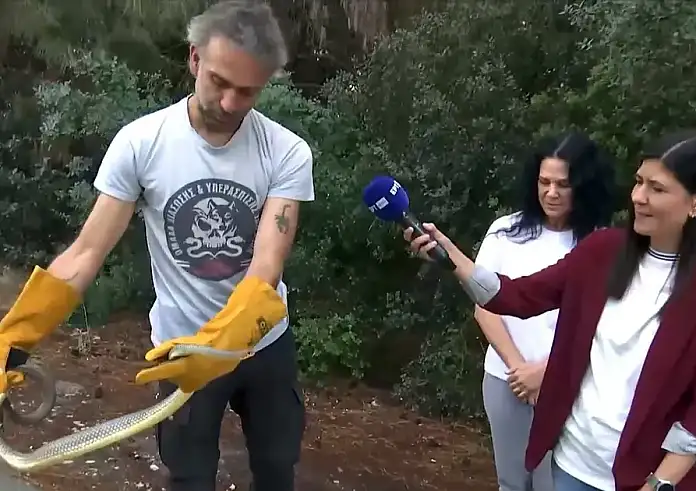 Ανησυχία για τα φίδια στη Θεσσαλονίκη – Έφιος σχεδόν δύο μέτρα αναστάτωσε σπίτι στο Πανόραμα