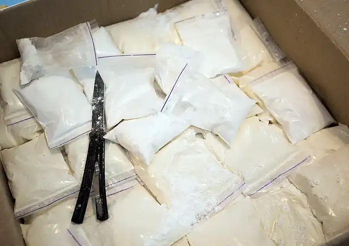 Οι γαρίδες έκρυβαν 210 κιλά κοκαΐνης. Ο ρόλος του Έλληνα «Ρablo» που έκανε εμπόριο οπλών στην Κολομβία