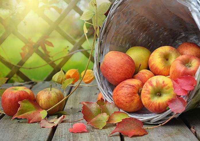 Κόκκινα vs πράσινα μήλα: Οι διαφορές, η διατροφική αξία και τα οφέλη – Ποιo είδος είναι πιο υγιεινό