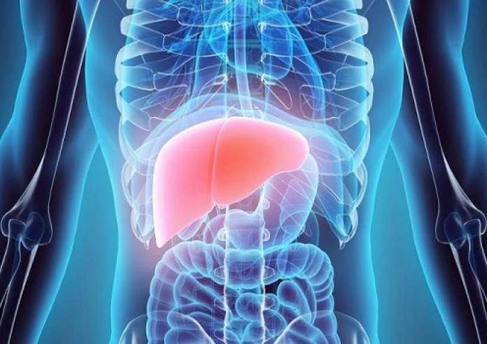 Πόσο καιρό χρειάζεται το συκώτι για να αποτοξινωθεί από το αλκοόλ