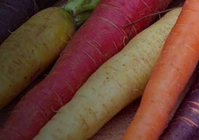 Τι χρώμα είχε το καρότο, πριν γίνει πορτοκαλί;