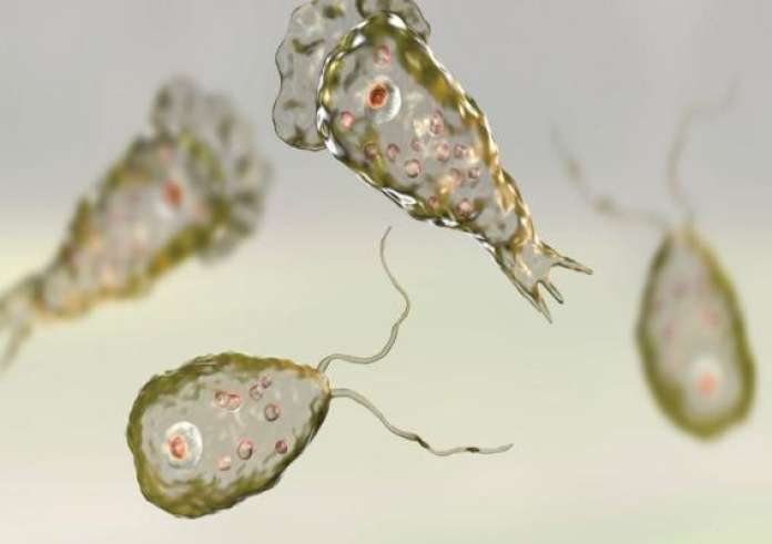 Αγοράκι ενός έτους, πέθανε από εγκεφαλοφάγο αμοιβάδα