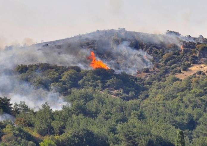 Έβρος: Πυρκαγιά σε δασική έκταση στα Λάβαρα Σουφλίου – Επιχειρούν και εναέρια μέσα