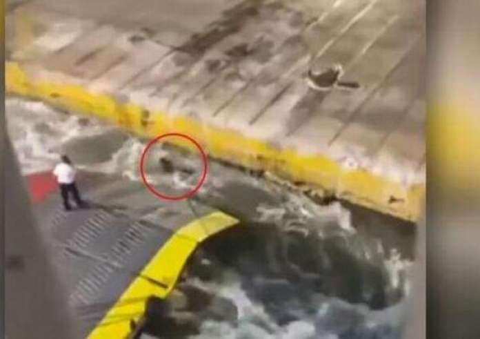 Αρχίζει η δίκη για τη δολοφονία του Αντώνη Καρυώτη – «Το βίντεο τα αποκαλύπτει όλα»