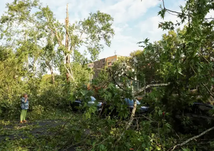 Μιλάνο: Νεκρή κοπέλα 16 ετών που καταπλακώθηκε από δέντρο ενώ κοιμόταν στη σκηνή της