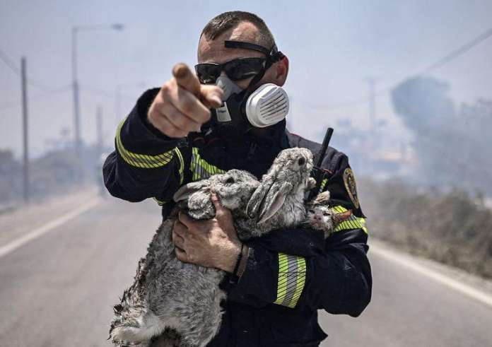 Πυροσβέστης κρατάει σφιχτά στην αγκαλιά του και τα απομακρύνει σώα μικρά ζωάκια από τις φλόγες
